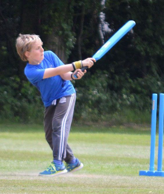 image_cricket